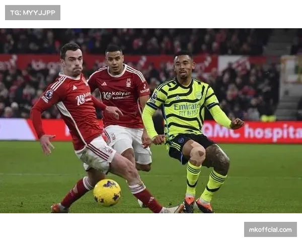 赛后积分榜解析：南安普敦取胜后跳出降级区，诺丁汉森林跌入泥潭